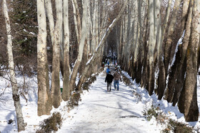 Daily Life in Tehran: the Capital Cloaked in Snow, Iran, 21 January 2026