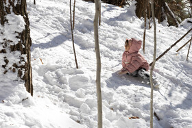Daily Life in Tehran: the Capital Cloaked in Snow, Iran, 21 January 2026