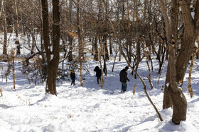 Daily Life in Tehran: the Capital Cloaked in Snow, Iran, 21 January 2026