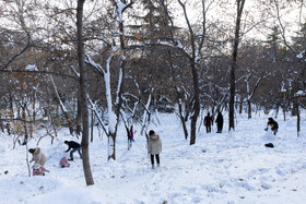 Daily Life in Tehran: the Capital Cloaked in Snow, Iran, 21 January 2026