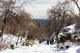 Daily Life in Tehran: the Capital Cloaked in Snow, Iran, 21 January 2026