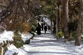 Daily Life in Tehran: the Capital Cloaked in Snow, Iran, 21 January 2026