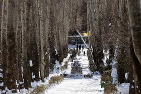 Daily Life in Tehran: the Capital Cloaked in Snow, Iran, 21 January 2026