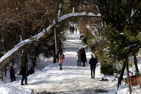 Daily Life in Tehran: the Capital Cloaked in Snow, Iran, 21 January 2026