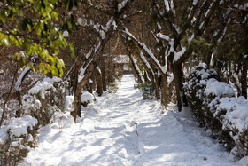 Daily Life in Tehran: the Capital Cloaked in Snow, Iran, 21 January 2026