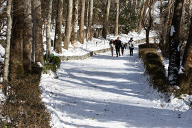 Daily Life in Tehran: the Capital Cloaked in Snow, Iran, 21 January 2026