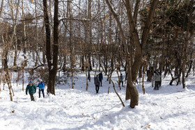 Daily Life in Tehran: the Capital Cloaked in Snow, Iran, 21 January 2026