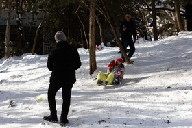 Daily Life in Tehran: the Capital Cloaked in Snow, Iran, 21 January 2026