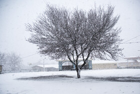 برف و کولاک اصفهان را فرا می‌گیرد