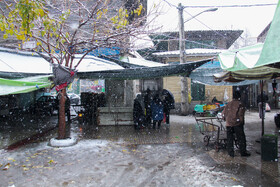 تشدید برف و باران در ۱۲ استان/ افزایش ارتفاع موج به بیش از ۲ متر در جنوب کشور