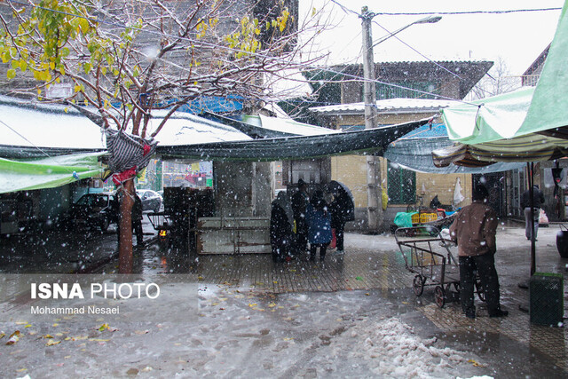 تشدید برف و باران در ۱۲ استان/ افزایش ارتفاع موج به بیش از ۲ متر در جنوب کشور