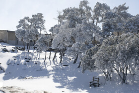 بارش برف در آرامگاه خالد نبی