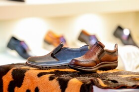 نمایشگاه تخصصی صنعت کفش ایران