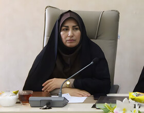 دبیر اجرایی: ۳۳۰ اثر به جشنواره ملی داستان‌ رضوی رسیده است