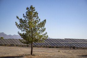 آغاز فاز اجرایی نیروگاه خورشیدی ۲۰۰ مگاواتی دشتی