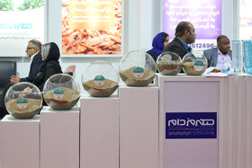 نمایشگاه فرصت‌های دریاپایه خلیج فارس و مکران