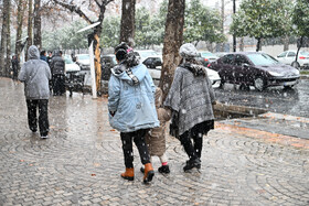 بارش برف در شیراز پس از 12 سال