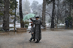 بارش برف در شیراز پس از 12 سال