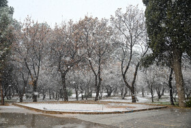 بارش برف در شیراز پس از 12 سال