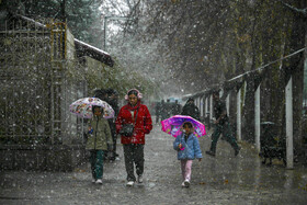 بارش برف در شیراز پس از 12 سال