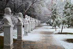 بارش برف در شیراز پس از 12 سال