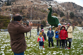 بارش برف در شیراز پس از 12 سال