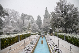 بارش برف در شیراز پس از 12 سال