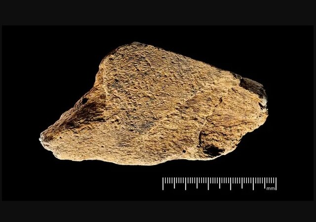 کشف ابزاری از ۵۰۰هزار سال!