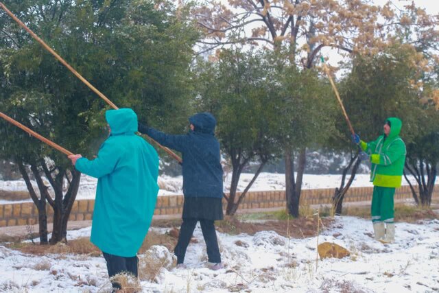آماده‌باش کامل خدمات شهری شیراز برای مدیریت بحران در میانه بارندگی و برف