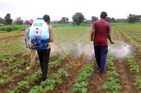 راهکارهای کاهش تلفات محصول و پیشگیری از آلودگی‌های زیست‌محیطی در سمپاشی