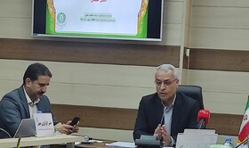 اجرای ۲۸۵ برنامه فرهنگی هنری در دهه فجر