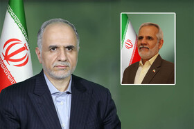 دبیر مرجع ملی کنوانسیون حقوق کودک وزارت دادگستری منصوب شد