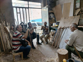 نگاهی به تخریب جنگل‌های هیرکانی و دلایل آن