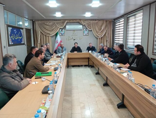 لزوم تشدید نظارت بر نانوایان آزادپز در اردبیل