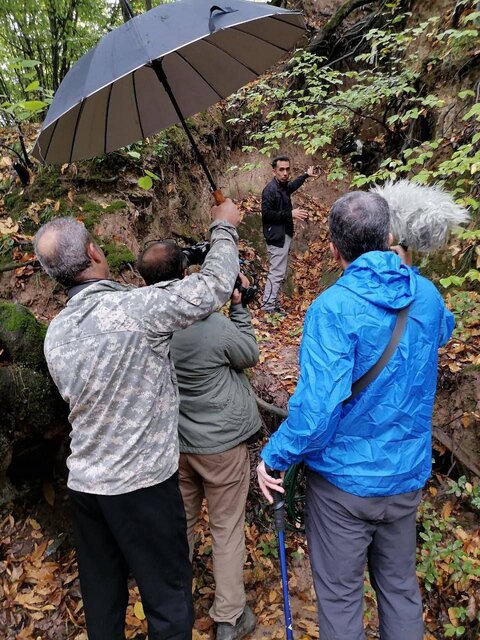 نگاهی به تخریب جنگلهای هیرکانی و دلایل آن