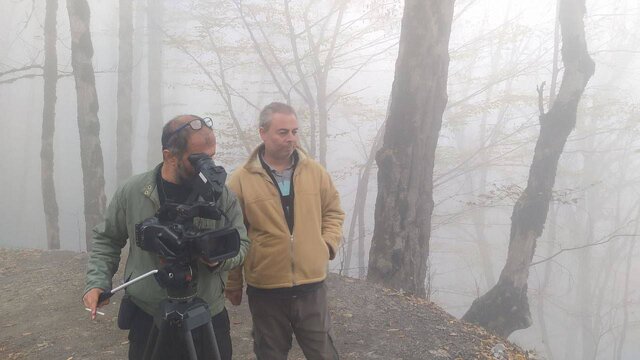 نگاهی به تخریب جنگلهای هیرکانی و دلایل آن