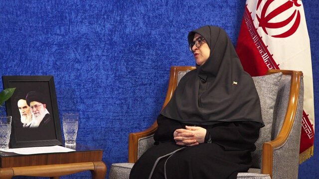 مهاجرانی: تمایلی به تنش نداریم اما در دفاع از ایران مصمم و قاطع هستیم