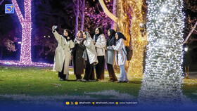 نور شبانه، منجر به بیخوابی درختان می‌شود