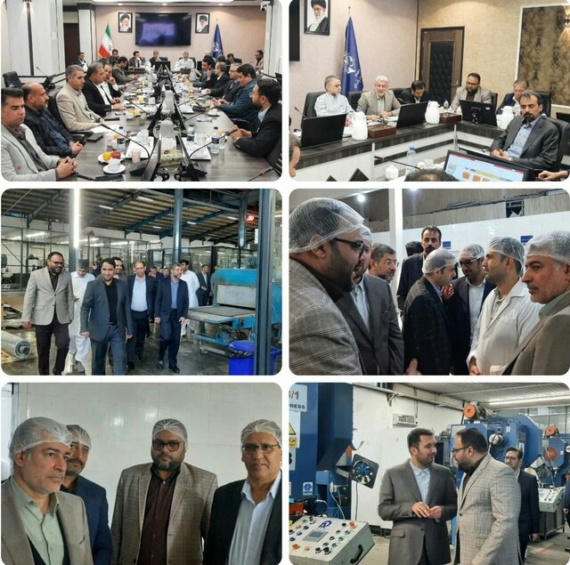 بازدید مدیران صنعت، معدن و تجارت منطقه ۵ کشور از واحدهای صنعتی کنارک