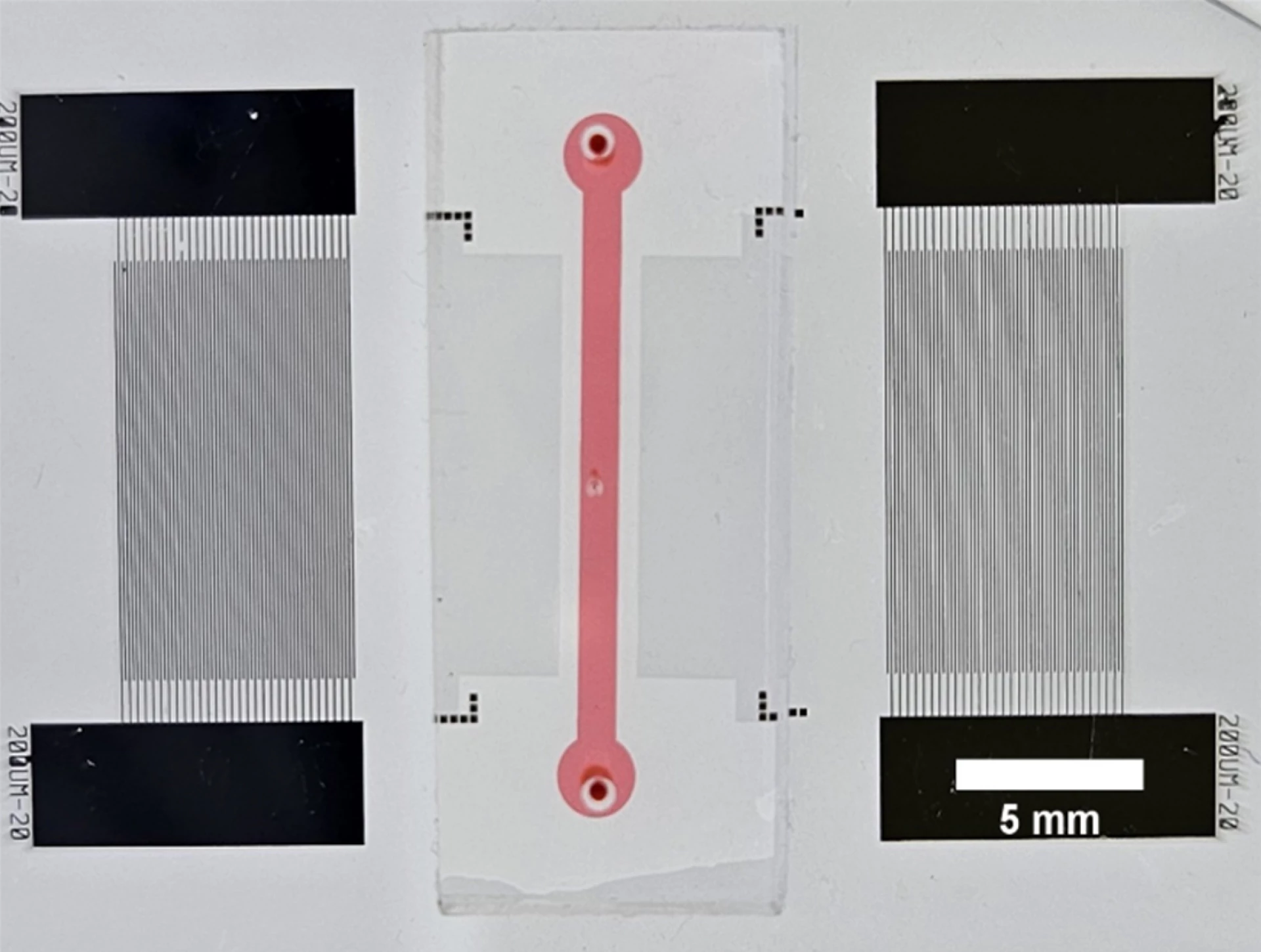 بررسی کیفیت خون اهدایی در عرض تنها ۲ دقیقه