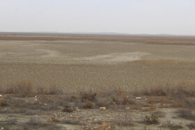 تالاب‌های گلستان در عطش حقابه/مدیریت یکپارچه منابع آبی، شرط احیای زیست‌بوم‌ها