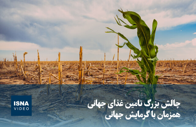 ویدیو/ چالش بزرگ تامین غذای جهانی همزمان با گرمایش جهانی