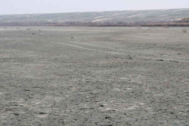 نبرد نابرابر آب، اقلیم و بقا/ وقتی افزایش دما تالاب‌های گلستان را سر می‌کشد +عکس