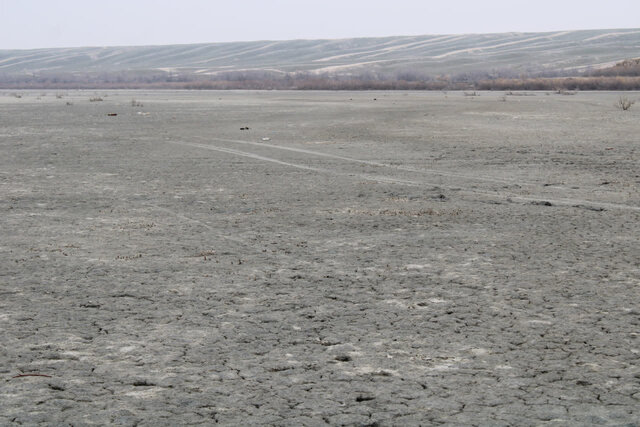 تالابهای گلستان در عطش حقابه / مدیریت یکپارچه منابع آبی، شرط احیای زیستبومها