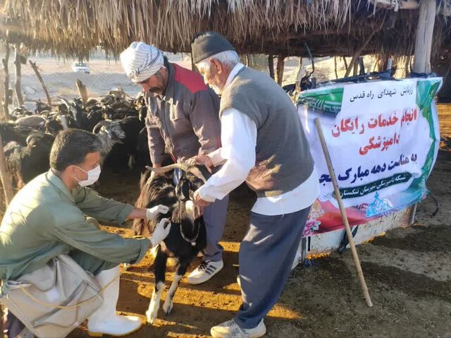 خدمات رایگان دامپزشکی به روستائیان و عشایر بوشهر