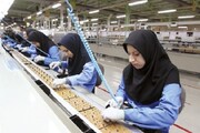تحقق نزدیک به ۶۰ درصدی تعهد اشتغال در اشنویه طی سال جاری