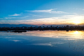 تخریب تالاب‌ها باعث آزاد شدن کربن ذخیره‌شده و تشدید تغییر اقلیم می‌شود | تالاب آغوزبن - بابل
