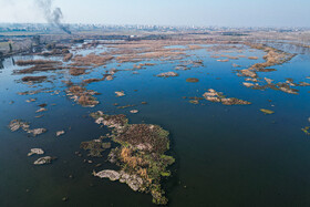 این زیست‌بوم‌ها می‌توانند حجم زیادی از آب سیلاب را جذب و ذخیره کنند | تالاب آغوزبن - بابل