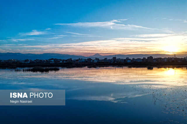 «ریه‌های زمین» نیازمند توجه همه‌جانبه