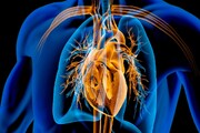 از پیاده‌روی تا تغذیه سالم؛ راهکارهایی برای مراقبت از قلب